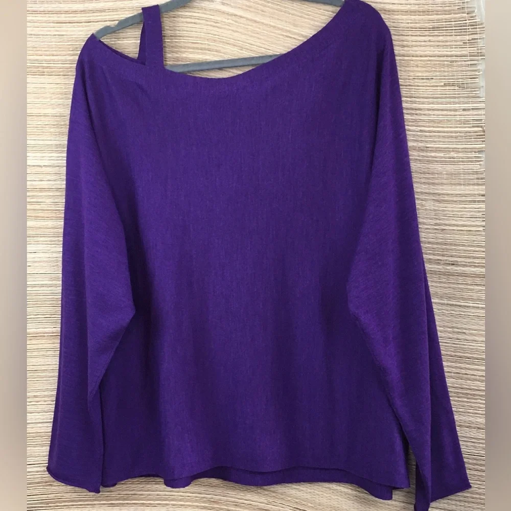 Eileen Fisher Asymmetric Neck 100% Merino Wool Sweater In Purple Size 3X